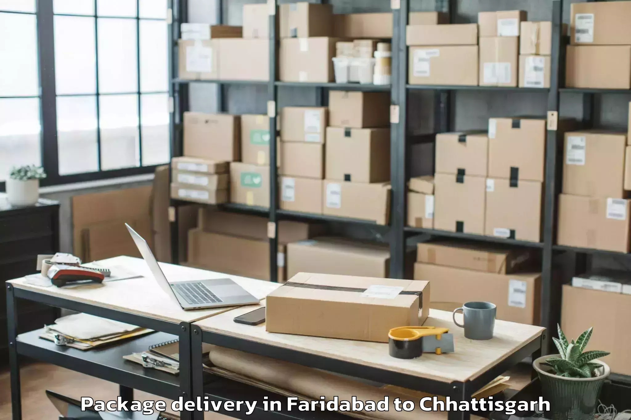 Quality Faridabad to Raigarh Chhattisgarh Package Delivery